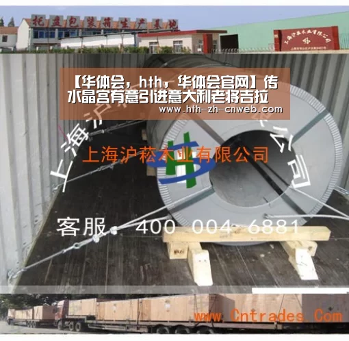 【华体会,hth,华体会官网】传水晶宫有意引进意大利老将吉拉迪诺(图3) 华体会,hth,华体会官网