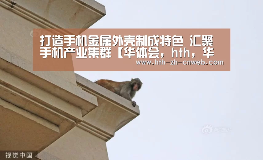 华体会，hth，华体会官网