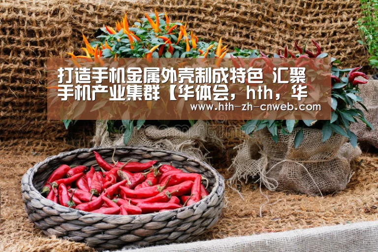 华体会，hth，华体会官网