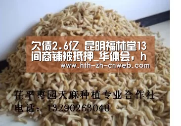 华体会，hth，华体会官网