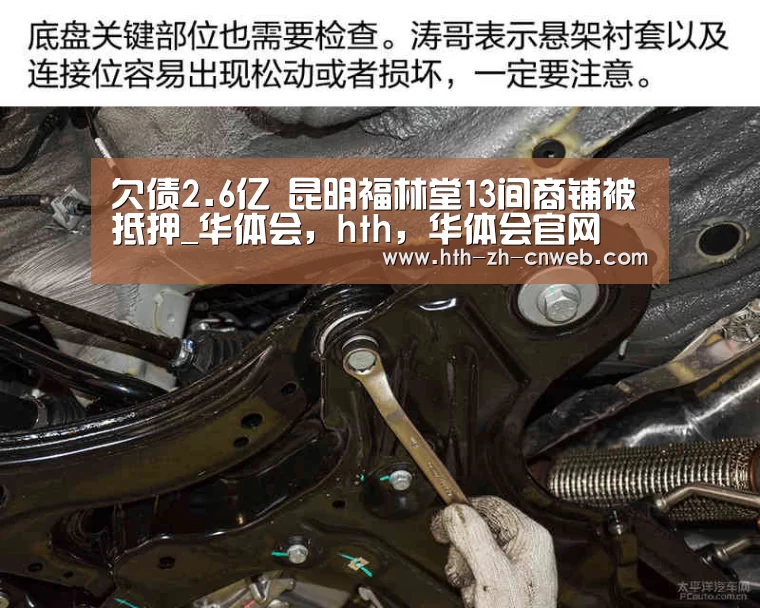 华体会，hth，华体会官网