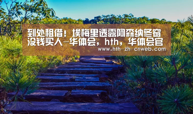 到处租借!埃梅里透露阿森纳冬窗没钱买人-华体会,hth,华体会官网(图2) 华体会,hth,华体会官网