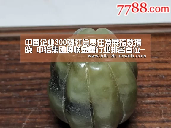 中国企业300强社会责任发展指数揭晓 中铝集团蝉联金属行业排名首位-华体会,hth,华体会官网(图1) 华体会,hth,华体会官网