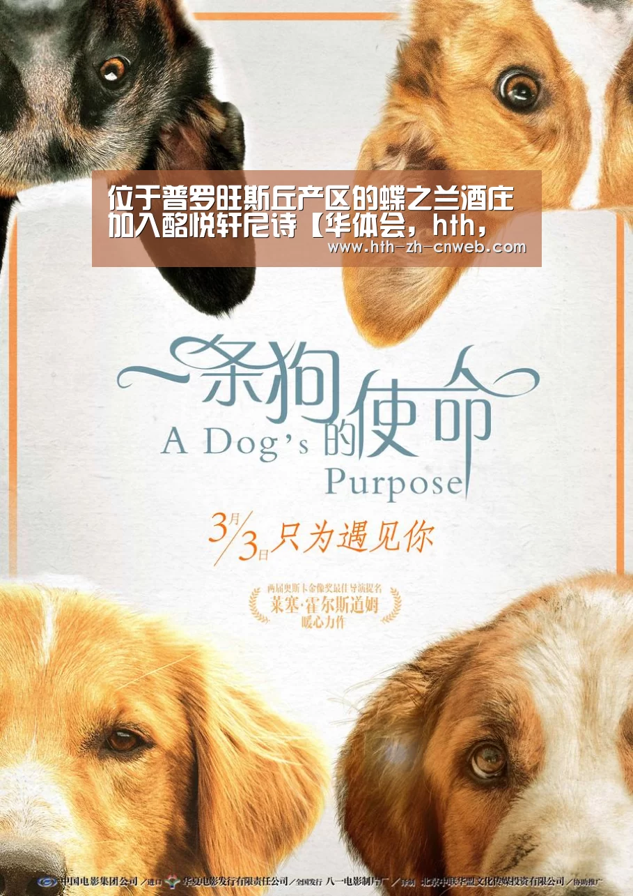 位于普罗旺斯丘产区的蝶之兰酒庄加入酩悦轩尼诗【华体会,hth,华体会官网】(图3) 华体会,hth,华体会官网