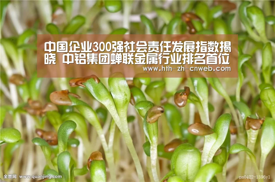 中国企业300强社会责任发展指数揭晓 中铝集团蝉联金属行业排名首位-华体会,hth,华体会官网(图2) 华体会,hth,华体会官网
